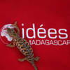 Logo of the association IDÉES Madagascar