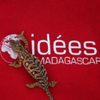 Logo of the association IDÉES Madagascar
