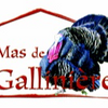 Logo of the association Mas de la Gallinière