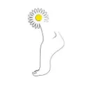 Logo de l'association Le Bonheur est dans le pied