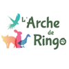 Logo of the association L'Arche de Ringo