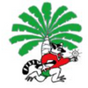 Logo of the association Lumières et Vie pour Madagascar