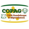 Logo of the association Copa guadeloupe
