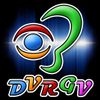 Logo of the association DVRGV