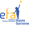Logo of the association EFA31