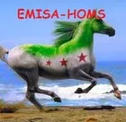 Logo de l'association EMISA-HOMS