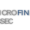 Logo of the association ESSEC MICROFINANCE