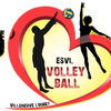 Logo of the association ESVL Volley Ball