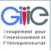 Logo of the association GIE - groupement pour l’investissement et l'entrepreuneriat