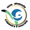 Logo of the association Gingando