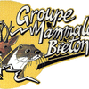 Logo of the association Groupe Mammalogique Breton