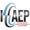Logo of the association ICAEP