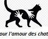 Logo of the association POUR L'AMOUR DES CHATS