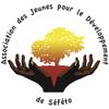 Logo of the association Jeunes pour le développement de Séféto