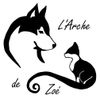 Logo of the association L' Arche de Zoé