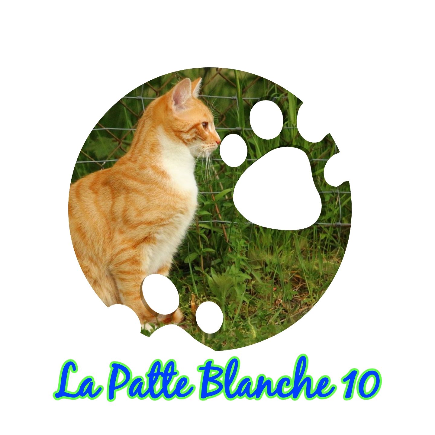 La Patte Blanche 10 Helloasso