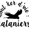 Logo of the association Lataniers Nout Ker d'Vie