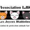 Logo of the association LJD - Les Joyeux Diablotins