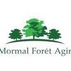 Logo of the association Mormal Forêt Agir