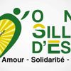 Logo of the association ONG SILLONS D'ESPOIR