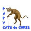 Logo of the association PAPYCATS DE CHRIS