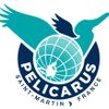 Logo of the association PELICARUS