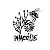 Logo of the association Phacélie