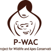 Logo of the association P-WAC