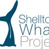 Logo of the association Shelltone Whale Project