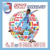 Logo of the association SNAF Mondial Cup