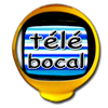 Logo of the association Bocal