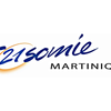 Logo of the association TRISOMIE 21 MARTINIQUE