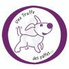 Logo of the association Une truffe et des pattes