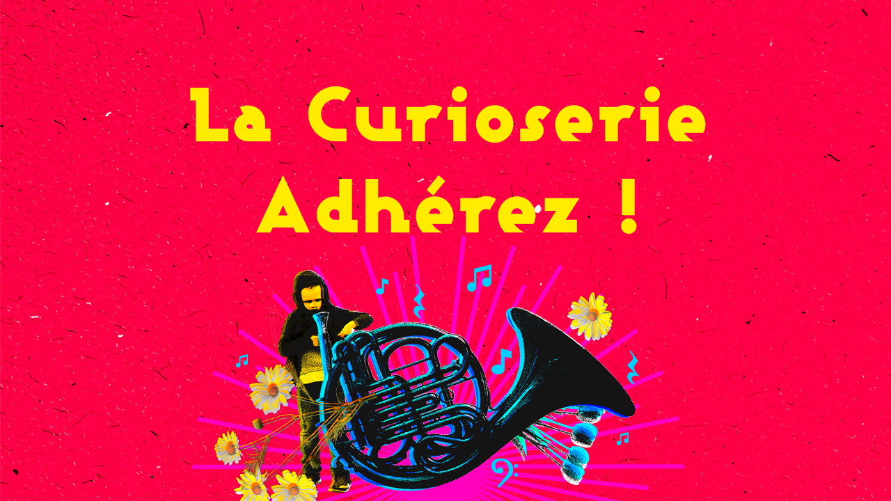 Adhésion La Curioserie