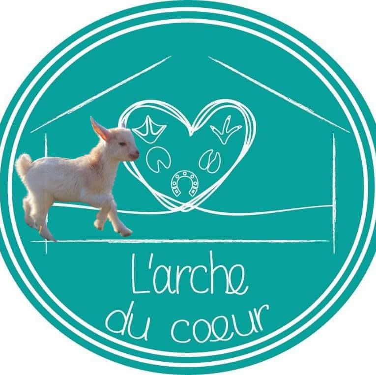 L Arche du coeur Florange HelloAsso