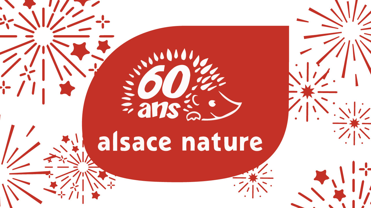 Bannière Fêtons 60 ans d'initiatives citoyennes au service d'un monde vivant