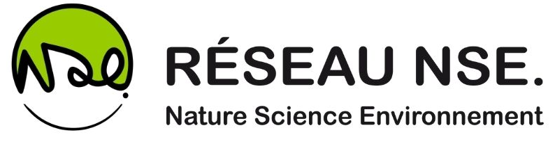 Logo NSE
