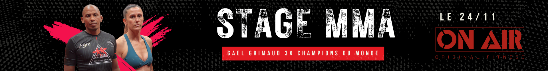 Stage de MMA avec Gael Grimaud, Triple Champion du Monde 