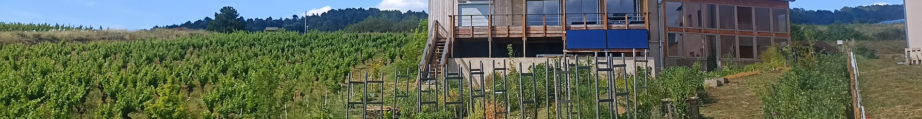 Visite courte d’une oasis de permaculture à Luc-sur-Aude