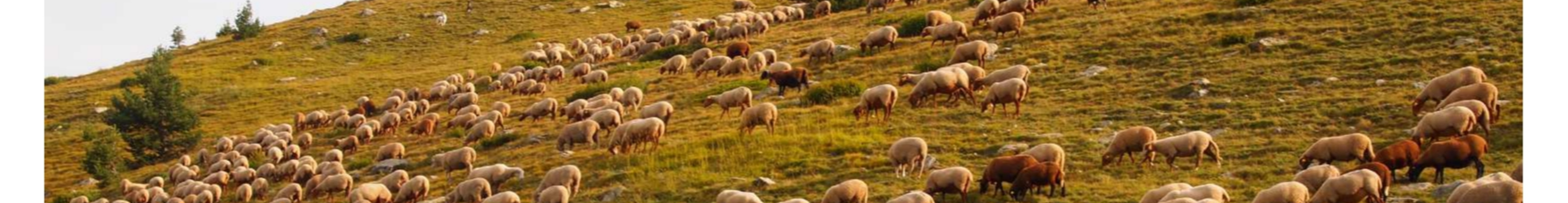 Atelier des adhérents 2024 - Pastoralisme face au changement climatique