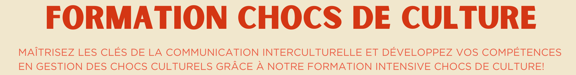 Formation Chocs de culture