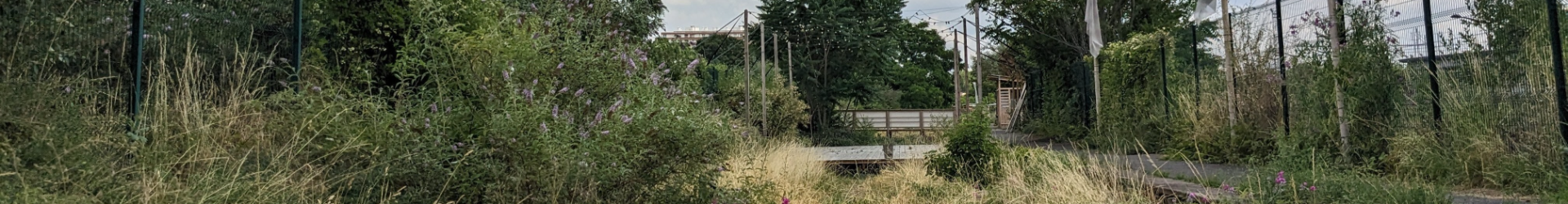 Découverte de Bercy Beaucoup