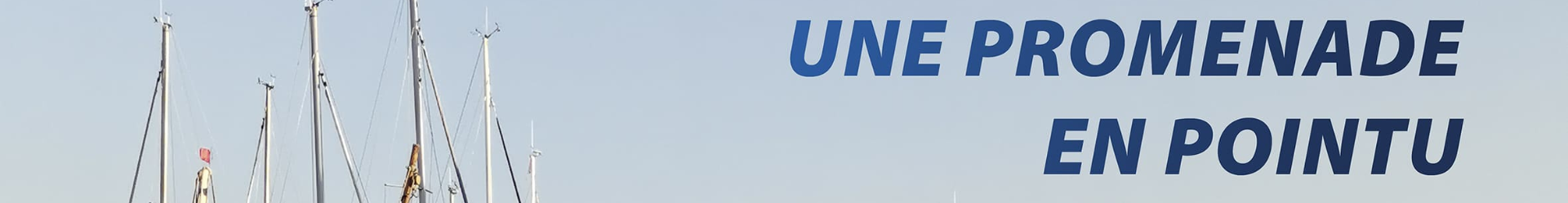 https://cdn.helloasso.com/img/photos/evenements/croppedimage-9598fb93da9344db88597d6e8faa67eb.png