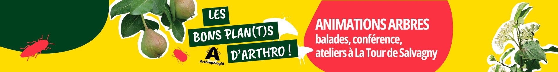 Bons plan(t)s d'Arthro / Animations