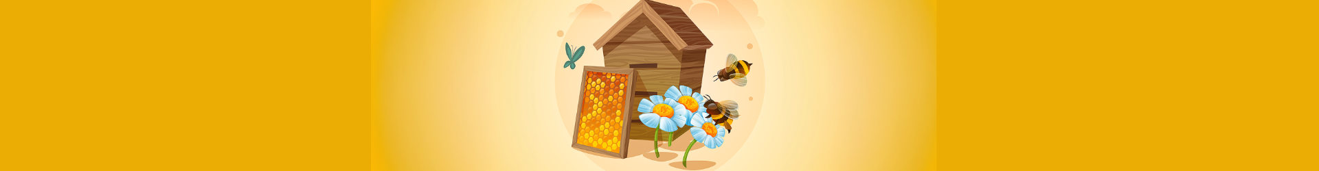 Découverte de l'apiculture