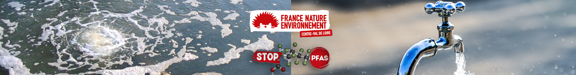 Séminaire Polluants éternels