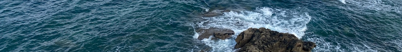 Droit de la mer, droits océaniques, droits de la nature