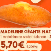 Madeleine géante Nature