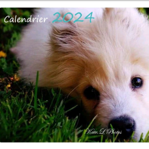 Le calendrier 2024 est disponible - Cosa Animalia