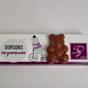 Coffret Petit Carré Praliné de 16 Chocolats - Stéphane Pasco, Chocolatier à  Nantes